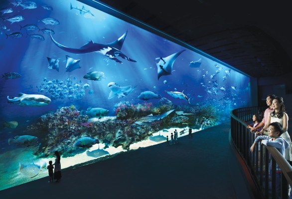 Ocean Gallery, Resorts World Sentosa 